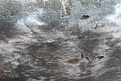 Ablative heat shield (after use) on Apollo 12 capsule