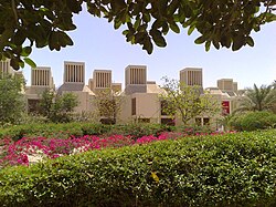 Qatar University, east view