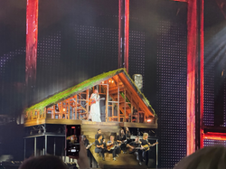 Taylor Swift performing the Folklore set during The Eras Tour in Germany (2024).
