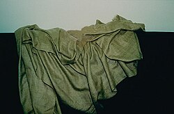 The antelope are killed for their wool, which is woven into the luxury fabric shahtoosh, threatening the species' survival.