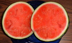 Seedless watermelon