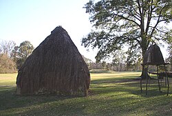 Platform mounds (in the distance) and reconstructed wattle-and-daub house at the Grand Village of the Natchez.