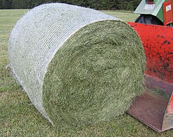 Round bales require equipment to handle. This round bale is partially covered with net wrap, which is an alternative to twine.