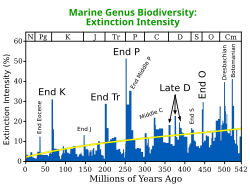The Permian–Triassic extinction event, labeled "End P" here, is the most significant extinction event in this plot for marine genera which produce large numbers of fossils