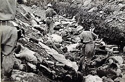 South Korean soldiers walk among bodies of South Korean political prisoners shot near Daejon, South Korea, July 1950. Photo by US Army Major Abbott.[39]