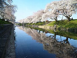 The banks of the Shin-Sakai River in spring