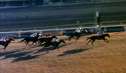 Screenshot from Global Impact: The Rise of the Japanese Thoroughbred showing the end result of the 1981 Japan Cup - the winner, Mairzy Doates, can be seen passing the post, comfortably ahead of the best performing Japanese horse Gold Spencer.