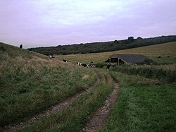 Tytherington Down