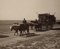 Assyrian refugees on a wagon moving to a newly constructed village on the Khabur River in Syria