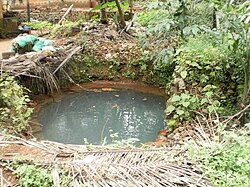 A dug well in a village in Kerala, India