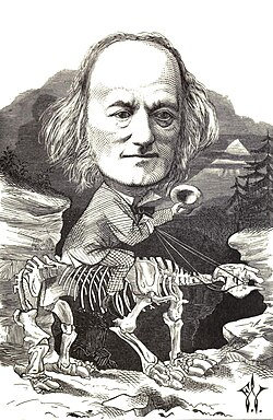 Caricature of Owen "riding his hobby", by Frederick Waddy (1873).