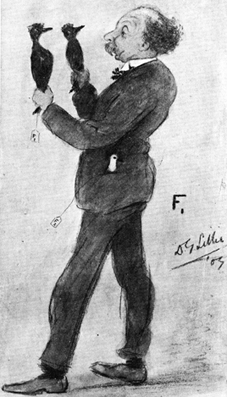 Crayon drawing by the biologist Dennis G. Lillie, 1909