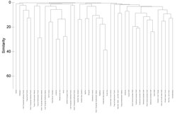 Dendrogram output for hierarchical clustering of marine provinces using presence / absence of sponge species.[2]