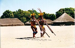 Xingu, an Indigenous territory of Brazil