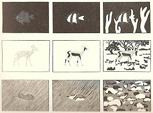 Illustration of the principle of "maximum disruptive contrast" by Hugh Cott, 1940