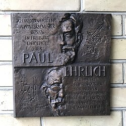 Commemorative plaque at the entrance of the anatomy institute of Freiburg University where Paul Ehrlich, as a medical student in the winter semester 1875/76, discovered the mast cells