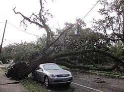 New Orleans experienced hurricane-force winds, but escaped the major flooding suffered by some other parts of southeast Louisiana.