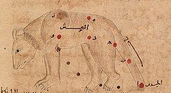 Ursa Minor as depicted in the 964 Persian work Book of Fixed Stars, Polaris named al-Jady "الجدي" in the lower right