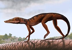 Reconstruction of Litargosuchus, a sphenosuchian