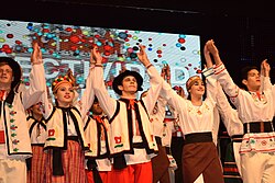 Argentines during the Immigrant's Festival in Oberá, Misiones.
