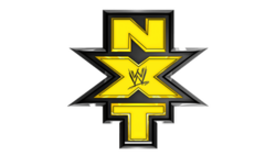 NXT's second logo used from 2012 to 2014