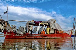 Houseboat of a Mohana family near Kot Addu; people of the Mohana tribe live on the Indus River and related waterbodies in Sindh and southern Punjab.[51]