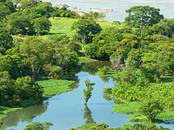 Orinoco in Amazonas State, Venezuela