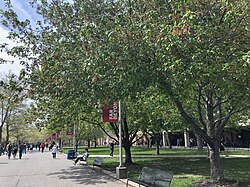 The Academic Mall is the central feature of West Campus.