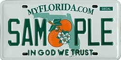 The "In God We Trust" motto on Florida license plate with an orange blossom, the state flower