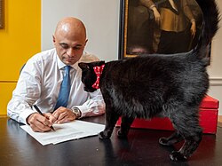 Javid in the Treasury after being appointed chancellor, with Gladstone, the Treasury cat