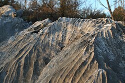 Solution runnels (also known as rillenkarren) are a karst feature on the Karst Plateau, as in many other karst areas of the world.