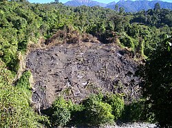 Forests cleared for jhum—a type of shifting cultivation practiced in Arunachal Pradesh, India