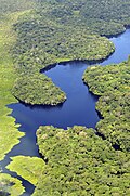 Amazon rainforest, Northern Brazil