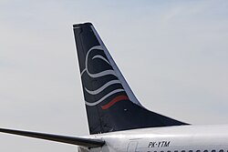 A dorsal fin is visible at the base of the vertical tail of this Boeing 737-300