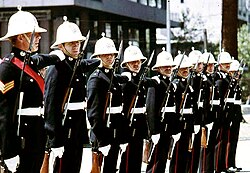 Royal Marines in 1972
