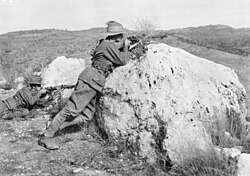Riflemen form the 3rd Light Horse Regiment
