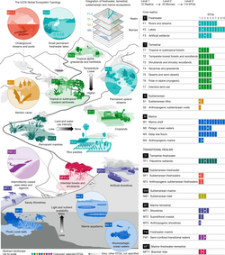 The IUCN Global Ecosystem Typology[9]