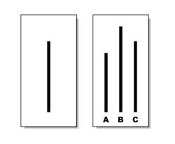 Which line matches the first line, A, B, or C? In the Asch conformity experiments, people frequently followed the majority judgment, even when the majority was wrong.