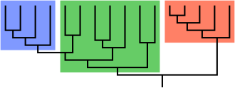 A phylogenetic tree: both blue and red groups are monophyletic. The green group is paraphyletic: it is missing a monophyletic subgroup – the blue group – that shares a common ancestor with itself. In this form, monophyletic means "no sideways stems leaving the group".