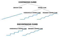 Categories and subcategories of clines, as defined by Huxley