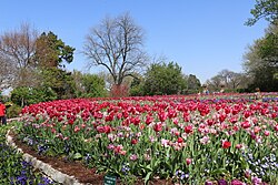 The Dallas Arboretum and Botanical Garden