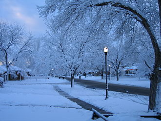 Tree-lined streets