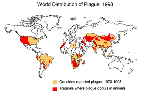 Distribution of plague-infected animals 1998