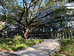 The A.B. Freeman School of Business