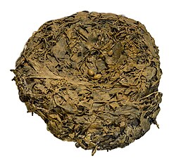 Platypus's nest with eggs (replica)
