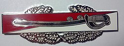 Alternative Combat Cavalry Badge (2009)