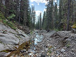 Stream in Alberta