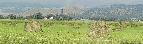 Different balers can produce hay bales in different sizes and shapes. Here two different balers were used to create both large round bales and small square bales.