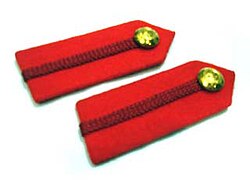 A colonel's gorget patches
