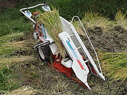 A modern compact binder for rice (2006)